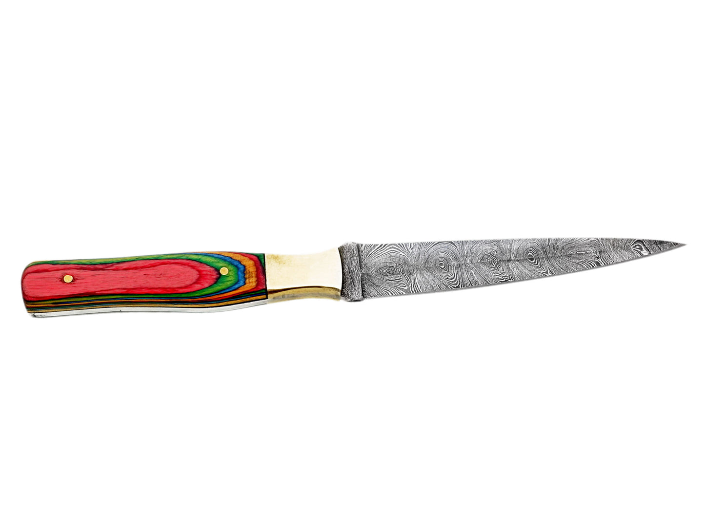 Rainbow Damascus Steel Sharp Cutting Edge Hunting Knife - Unique Handle with Custom Leather Sheath