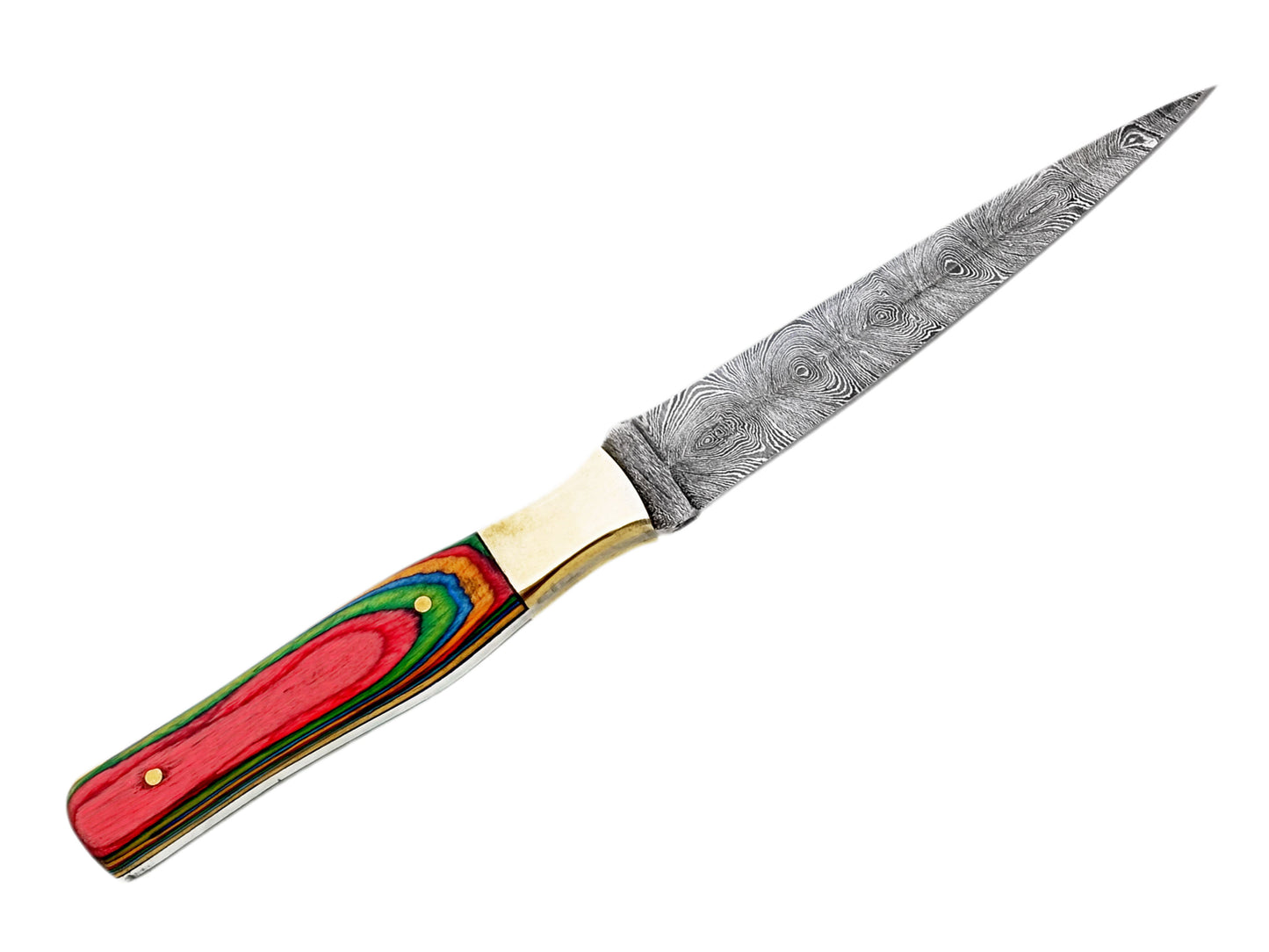 Rainbow Damascus Steel Sharp Cutting Edge Hunting Knife - Unique Handle with Custom Leather Sheath